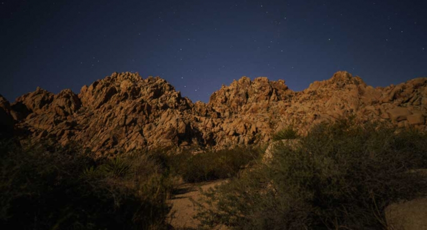 joshua tree national park at night